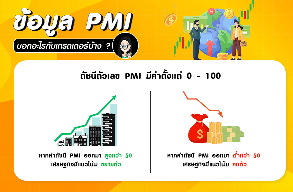 ข้อมูล PMI ข้อมูล PMI สามารถบอกอะไรได้บ้าง?